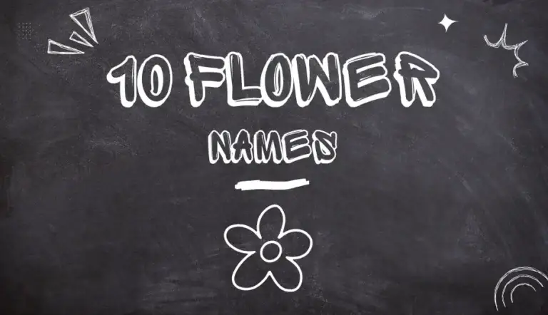 10 Flower Names for kids
