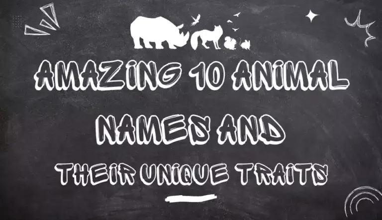 10 animal Names for kids