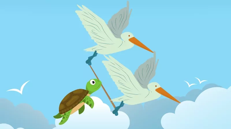 Two swan and tortoise image