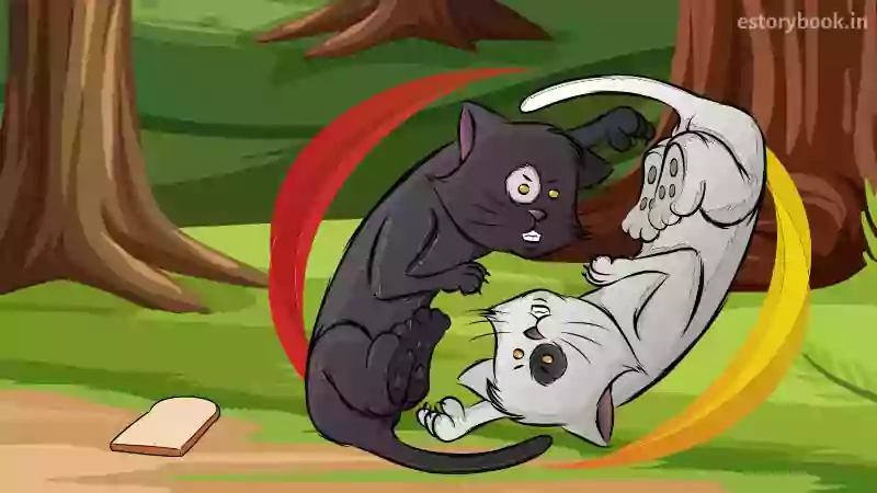 Two Cats and Monkey Story